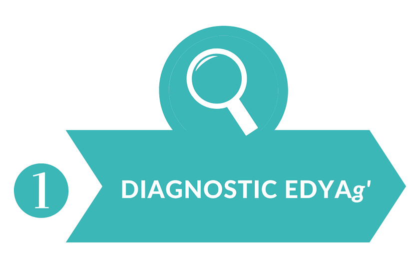 Etapes 1 Diagnostic.